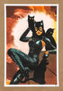 Tula Lotay - Catwoman #41