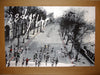 Jock - 28 Days Later Variant (28 Seconds Later)