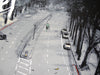Jock - 28 Days Later Variant (28 Seconds Later)