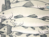 Justin Santora - Flatstock 43