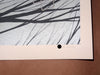 Justin Santora - Four Vantage Points