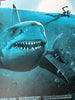 Leonardo Paciarotti - Jaws