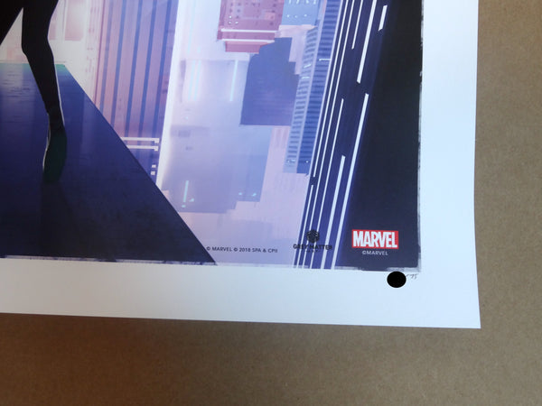 Robin Har - Spider-Man Into the Spider-Verse – Addicted2Print