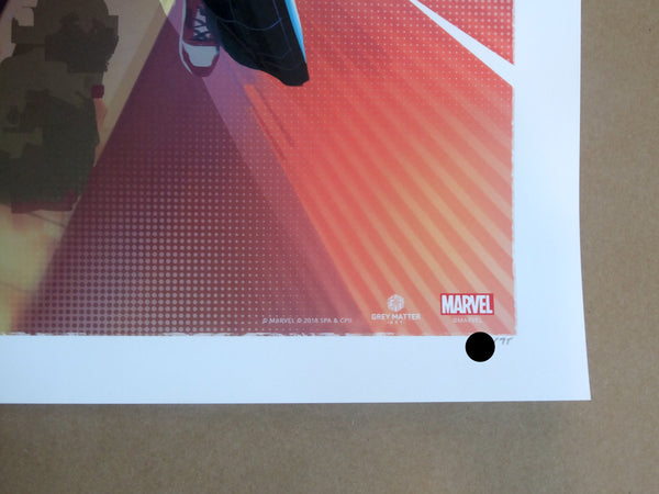 Robin Har - Spider-Man Into the Spider-Verse – Addicted2Print